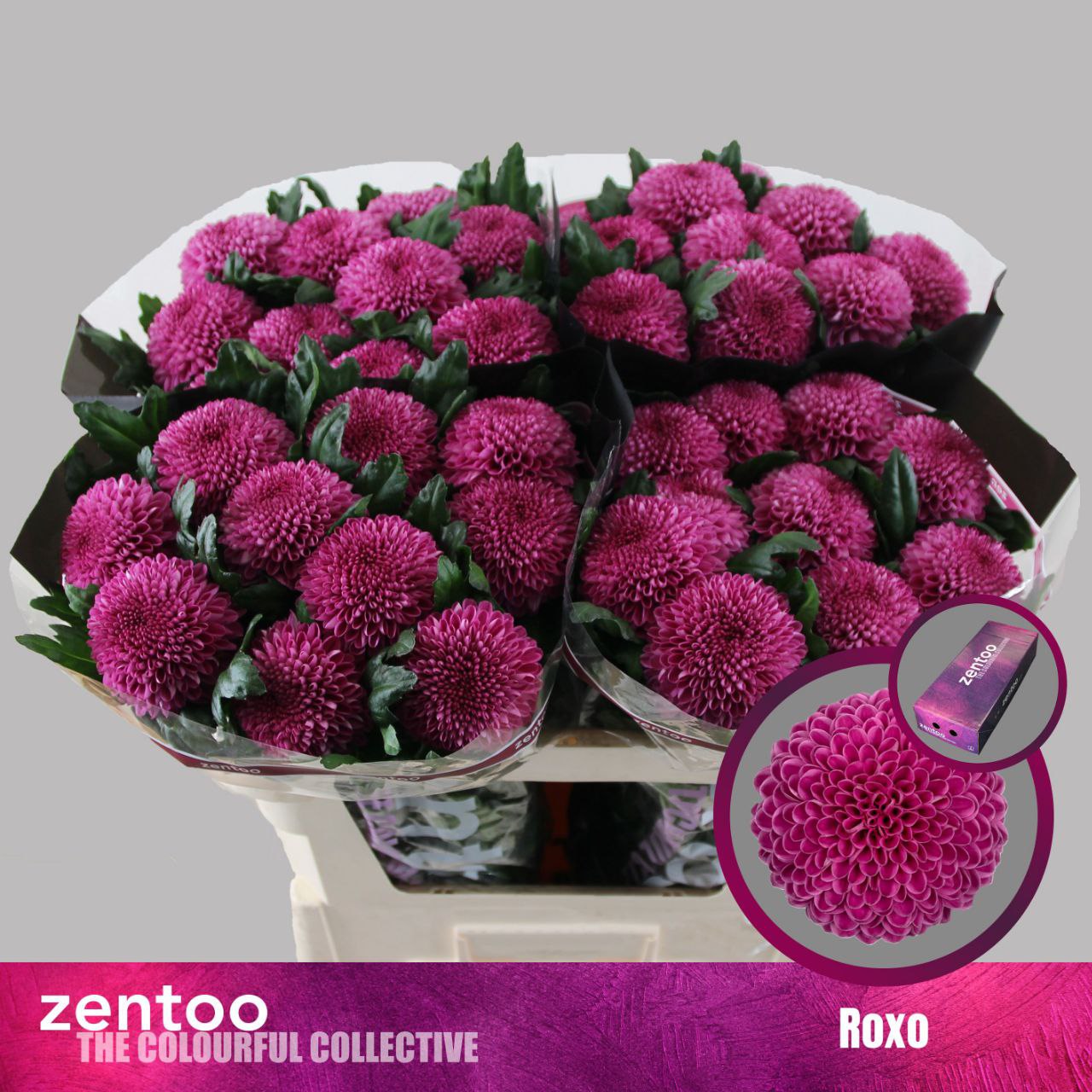 Хр Од Roxo