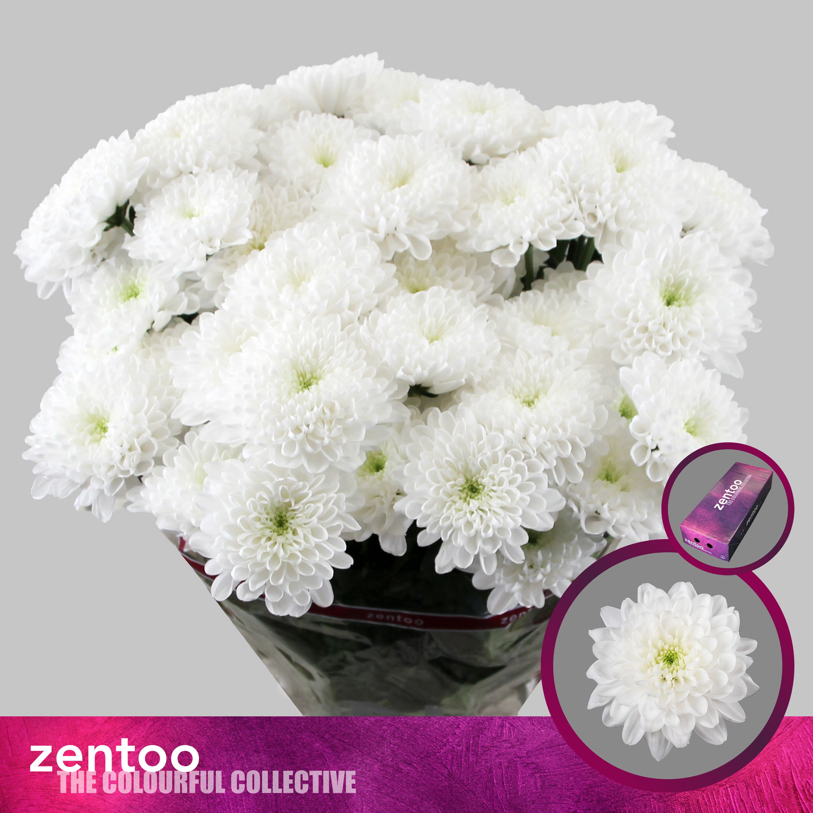 Хр куст Алтай Zentoo 85 гр