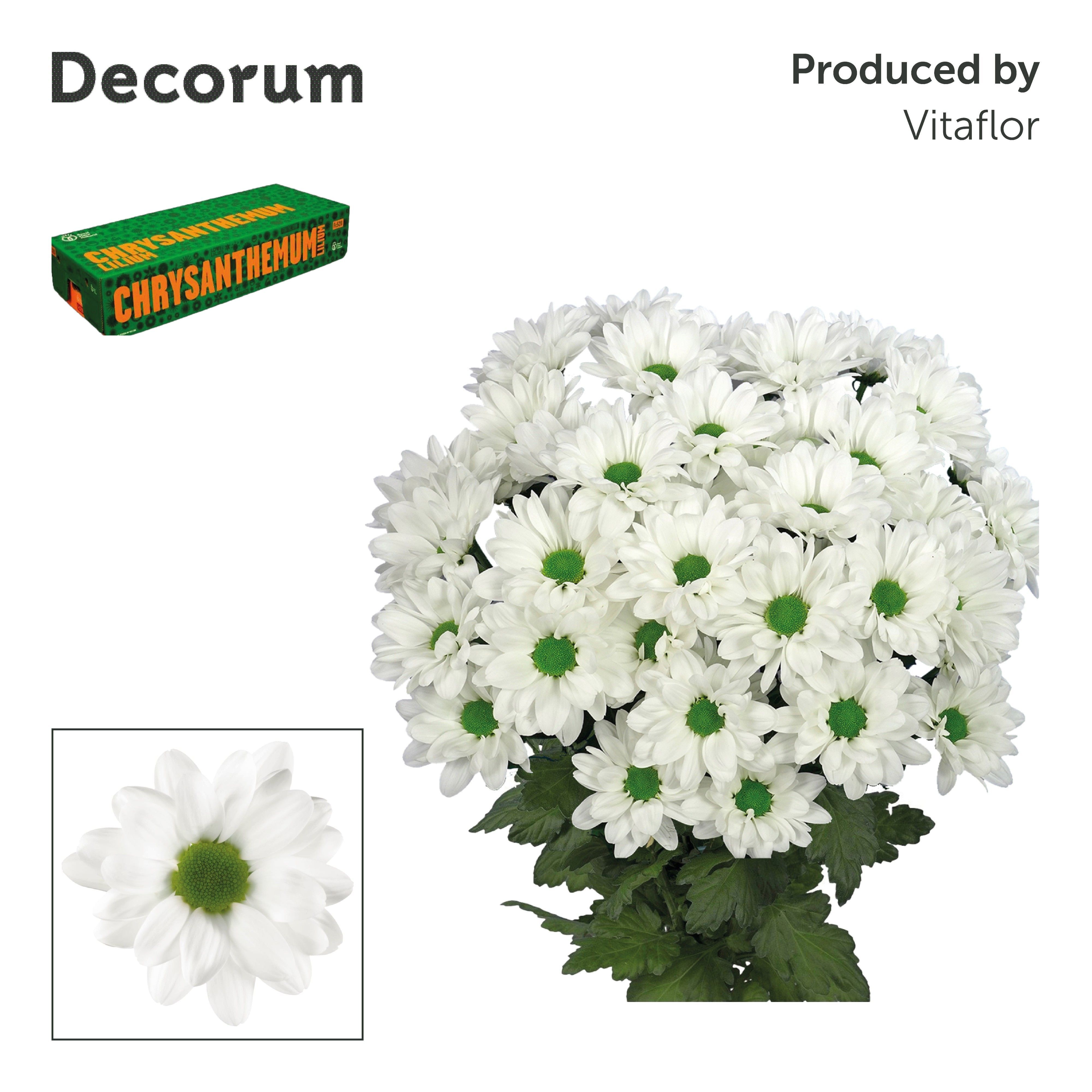Хр куст Шик Decorum 85 гр