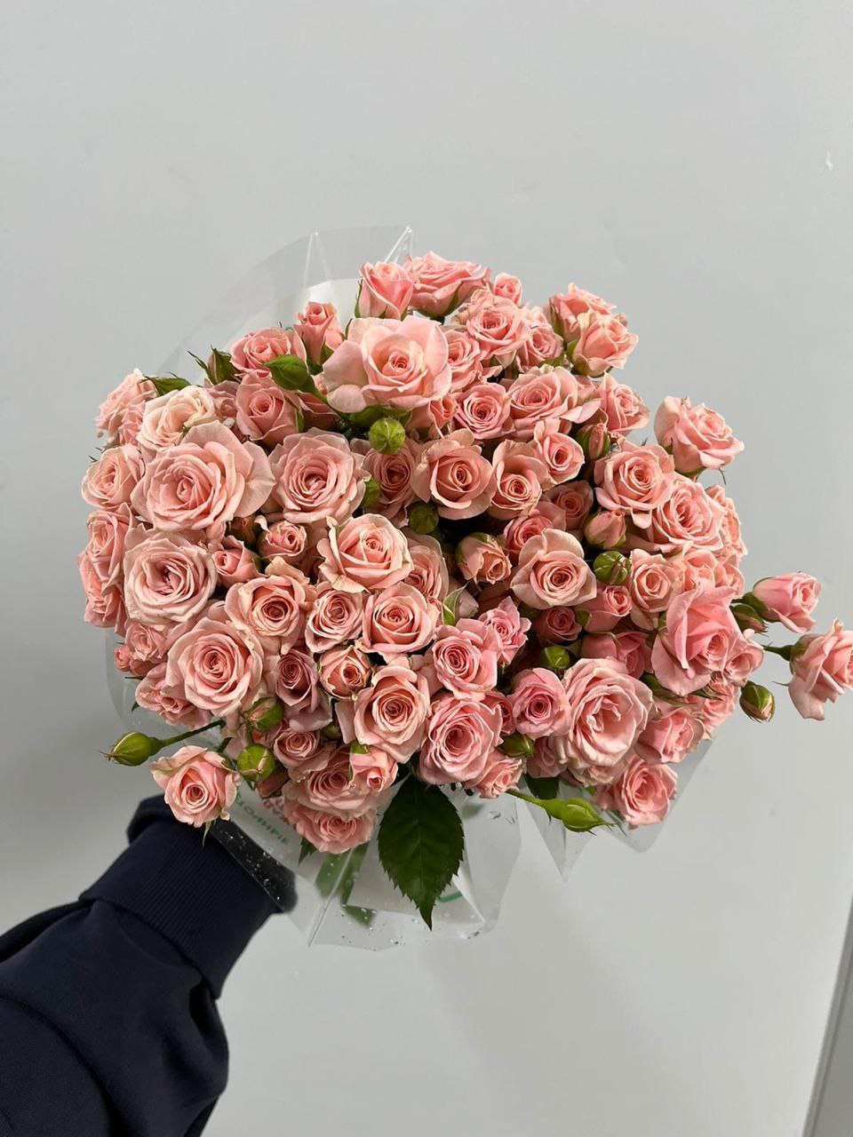 Куст Лидия 70 см