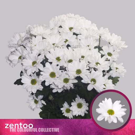 Хр куст Кеннеди Zentoo 85 гр