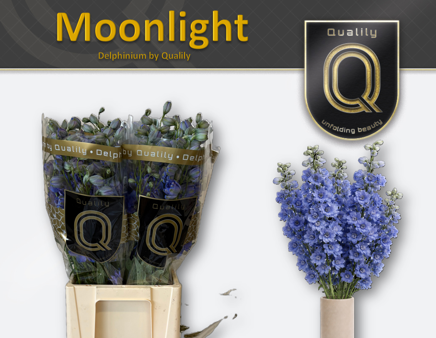 Дельфиниум Moonlight