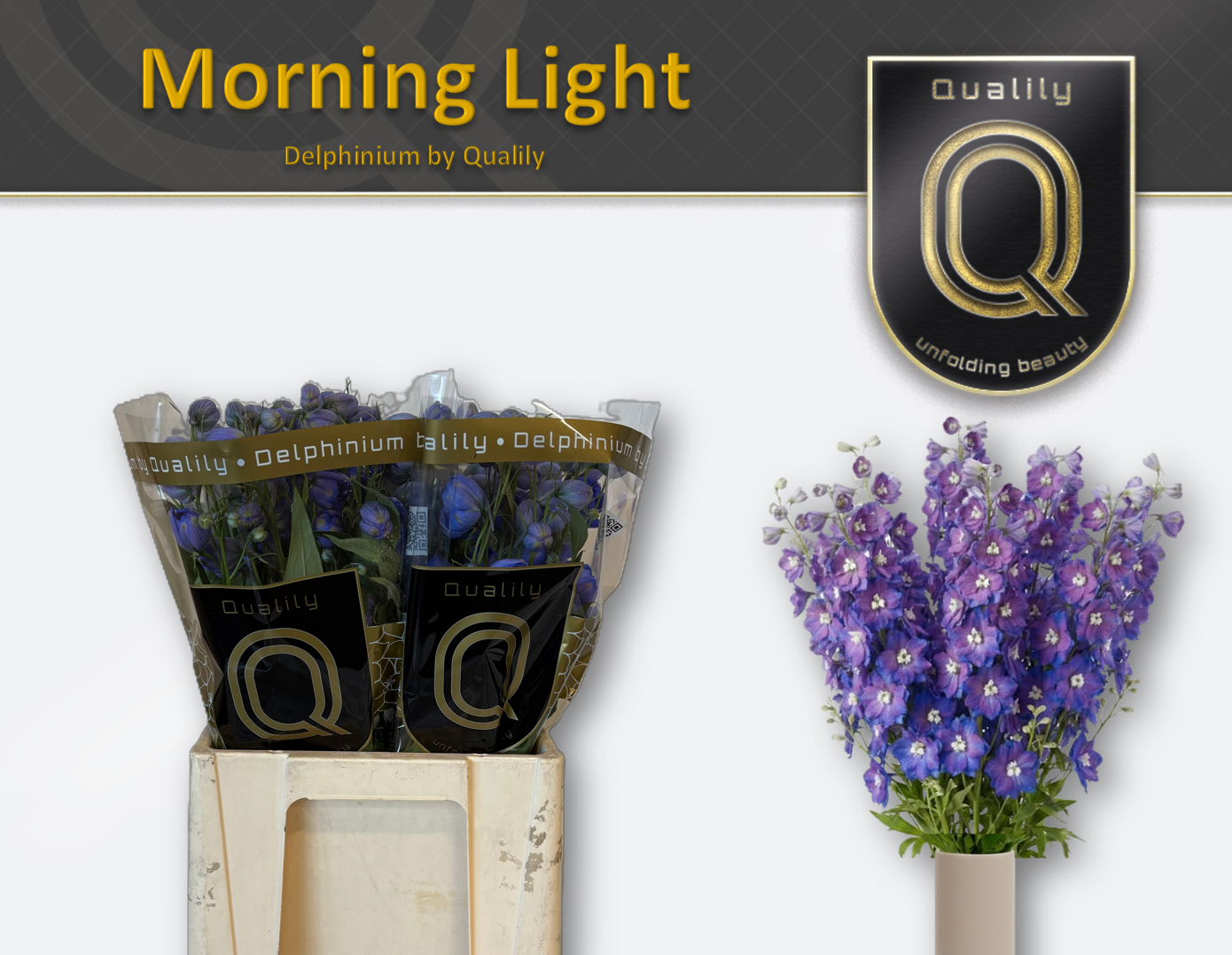 Дельфиниум Morning light